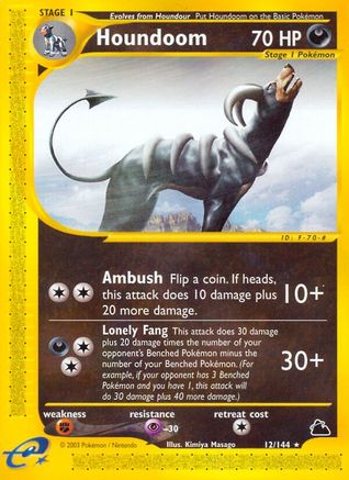 Houndoom (12) 012 Skyridge - Rare