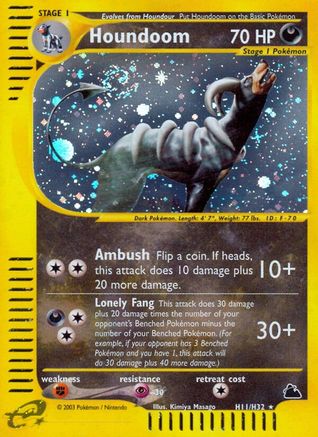 Houndoom (H11) H11 - Holofoil Skyridge - Holo Rare